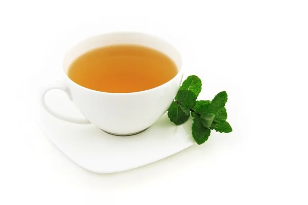庭の毒草8種類を見分けて安全対策！プロが教える注意点と処理方法